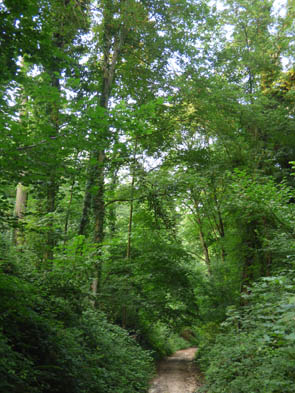 Rocquemont (Luzarches)